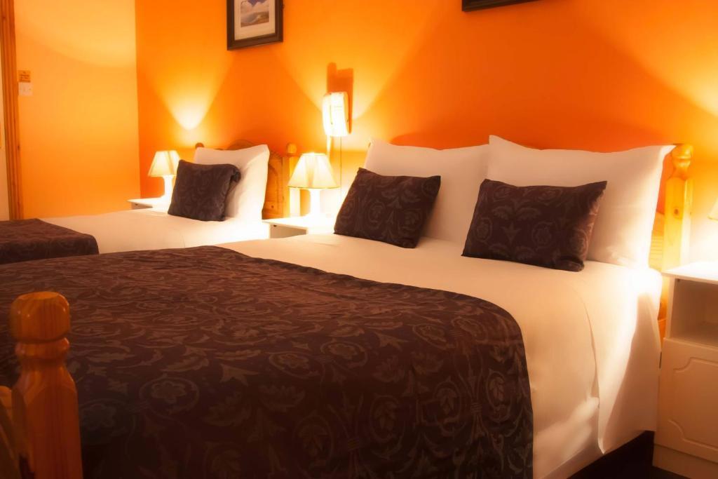 Mccarthy'S Lodge B&B Westport Exteriör bild